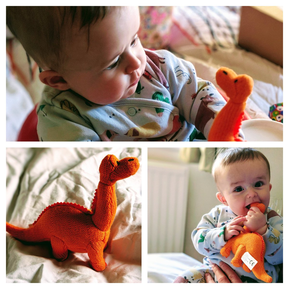 LabirdLou's tweet image. Thanks @wearetoydrop for Eggy the Easter Dinosaur, Oscar ♥️'s him. Also loved the personalised hand written thank you card that came with the delivery.We will shop again for sure @burry83 #raisingawesome #happyeaster