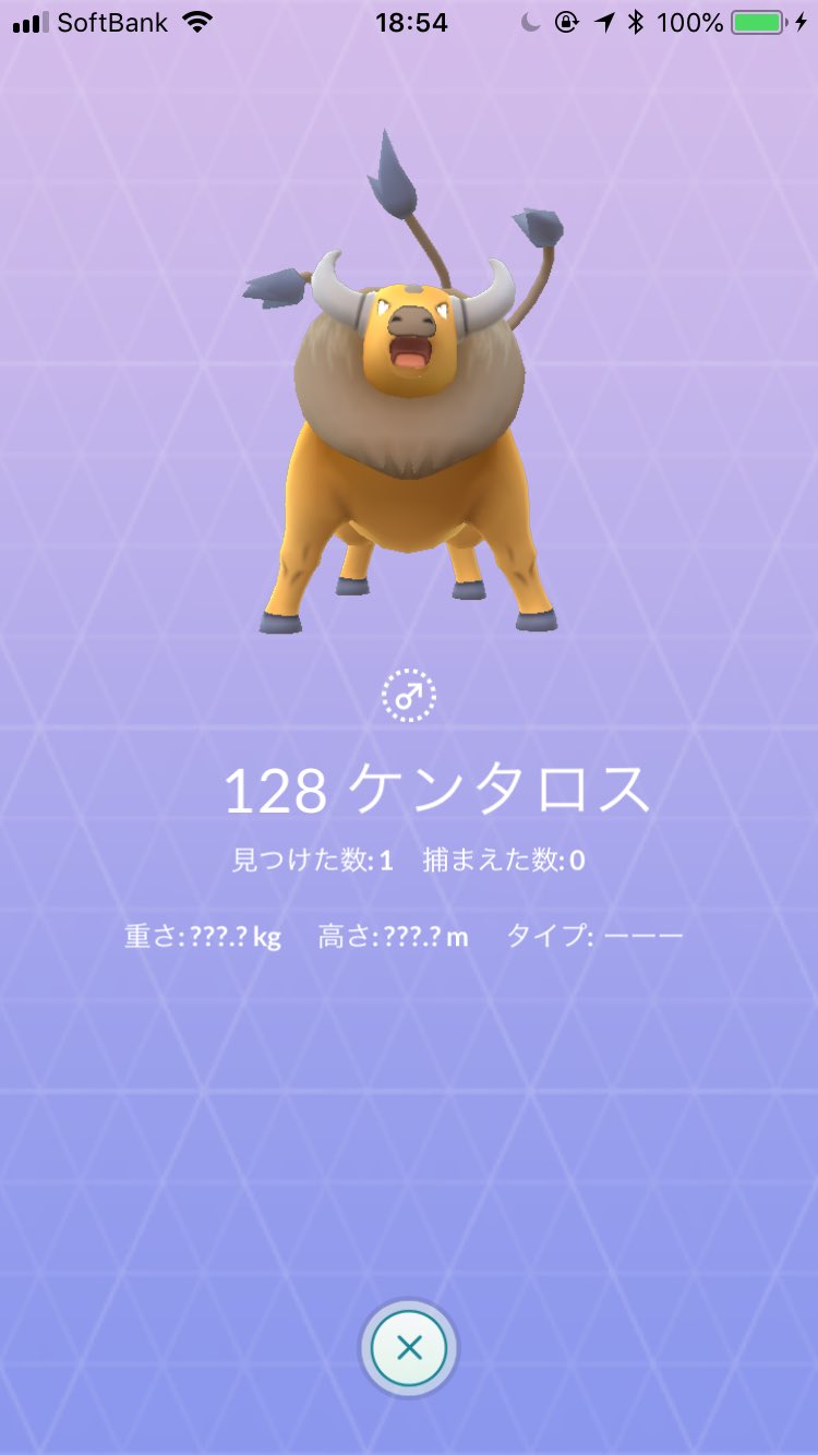 تويتر まぁくん ポケモンgo على تويتر やっぱり凄く気になる 図鑑の１２８が ここまで来たら埋めたい カントーを１５１にしたい 運営さん 是非 彼を１日でも早く来日させて下さい 宜しく お願います 海外へ行けないポケgoトレーナー