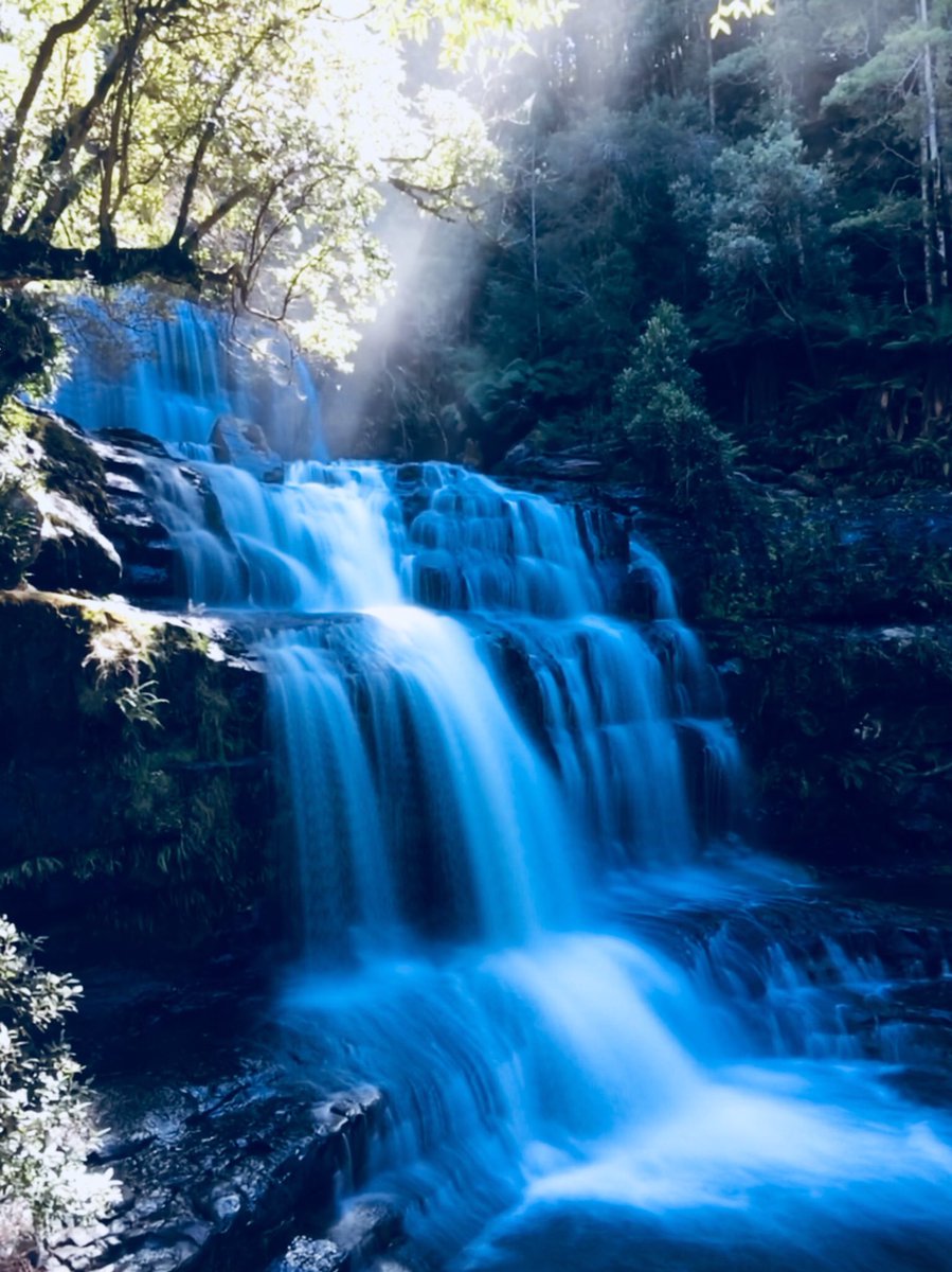 What a spectacular place we live in! #Tasmania #LiffeyFalls
