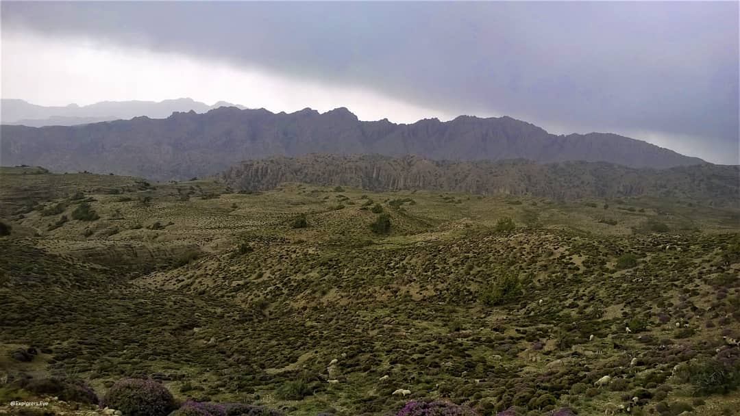 mansoormansay's tweet photo. It was much beautiful experience while hiking in heavy rain and thunderstorm 😍

Zarghoon Ghar, Mountains of Balochistan

#Hike #Zarghoon #Ghar #ZarghoonGhar #rain #ExplorerEye #Adventure #Traval #trip https://t.co/pLwHgOeHwx