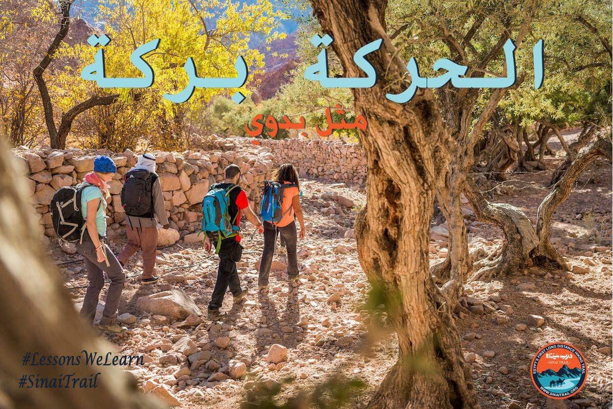 sinaitrail's tweet image. “Al Haraka Baraka” is a widely known Arabic proverb that you’ll find the Bedouin frequently saying. It means: “Movement is a blessing” as activity helps people become healthier and also attracts blessings and how exercising is beneficial. #sinaitrail #lessonswelearn #sinaiisafe