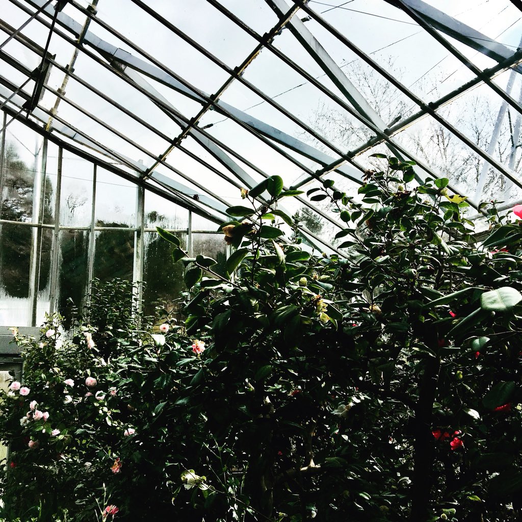 Chatsworth House, Derby, UK
•
@chatsworthofficial #garden #orangerie #flower #wintergarden #glass #contrast #environment #fashion #fashiondesigner #inspiration #nature #photography #naturephotography #derby #derbyshire #local #culture #heritage #history