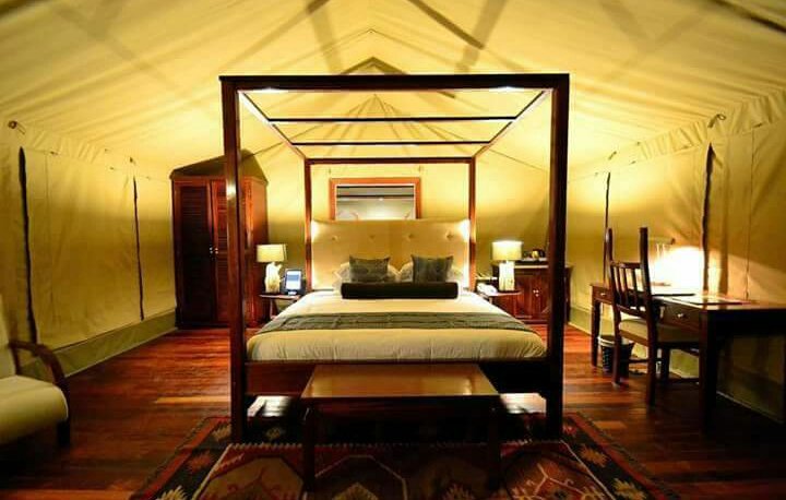 kibokoluxcamp's tweet photo. There is still time! Book your space with us and get yourself an exclusive package for your friends and family while space lasts. Offer valid till the end of #Easter  #KibokoLuxuryCamp​ is the best place to be! #SunAfricaHotels #MagicalKenya #WhyIloveKenya #TembeaKenya
^ES https://t.co/HlvU2EhjH7