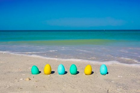 ShareALittleSun's tweet photo. We found our Florida #Easter eggs. Happy Easter! #LoveFL https://t.co/Ek3Ho34zap