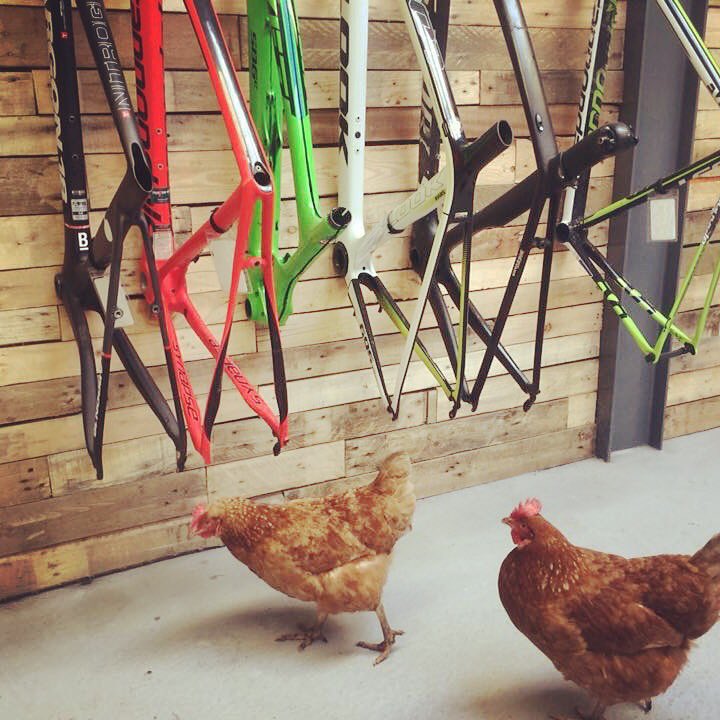 We have intruders #cantgetthestaff