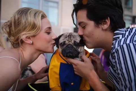 _moon_io's tweet photo. Хочу быть на месте этой собаки.
#Riverdale #RiverdalePL https://t.co/8wtM0hFP09