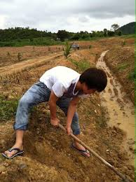 Super_10_Junior tweet media