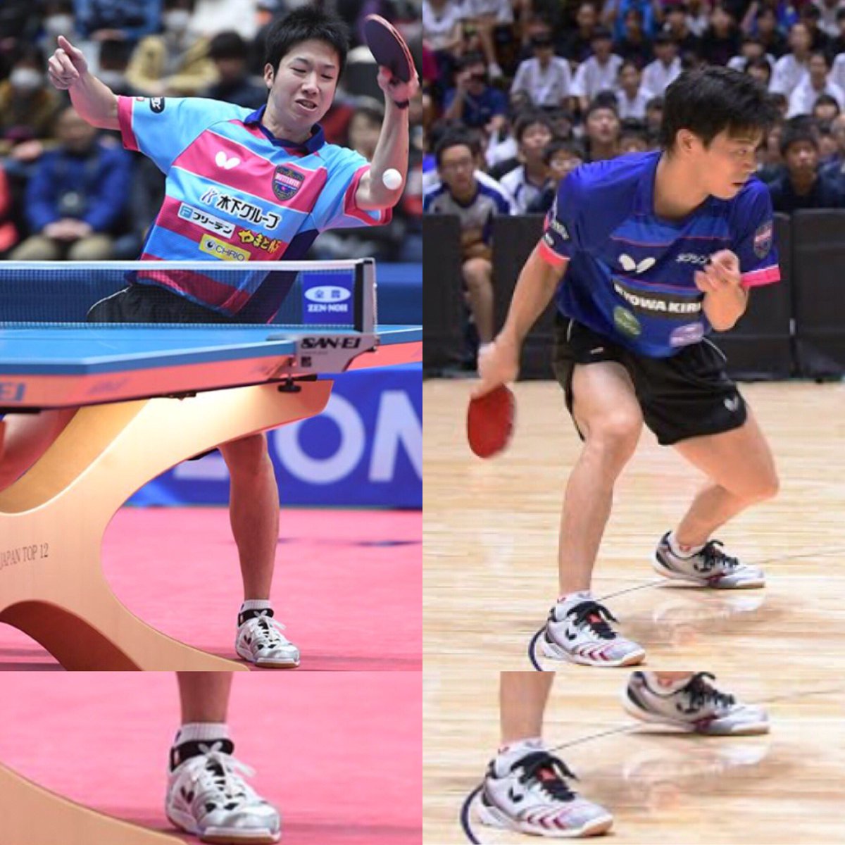 新品 水谷隼 濃密 選手愛用 エナジーフォースV