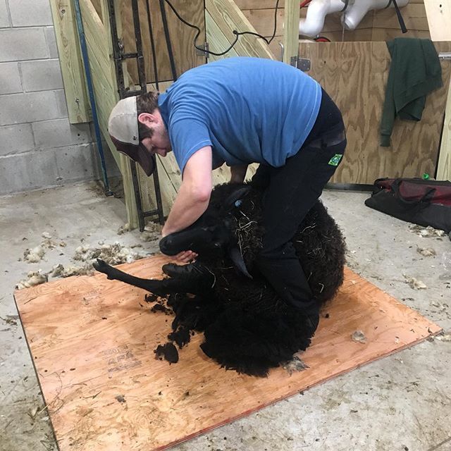 Lillooet Cheesery (LillooetFarm) Twitter