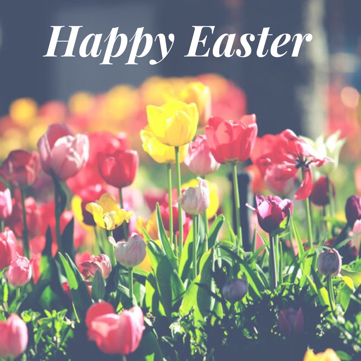 MySistersandMe's tweet photo. #HappyEaster https://t.co/9sUQJSc8R5