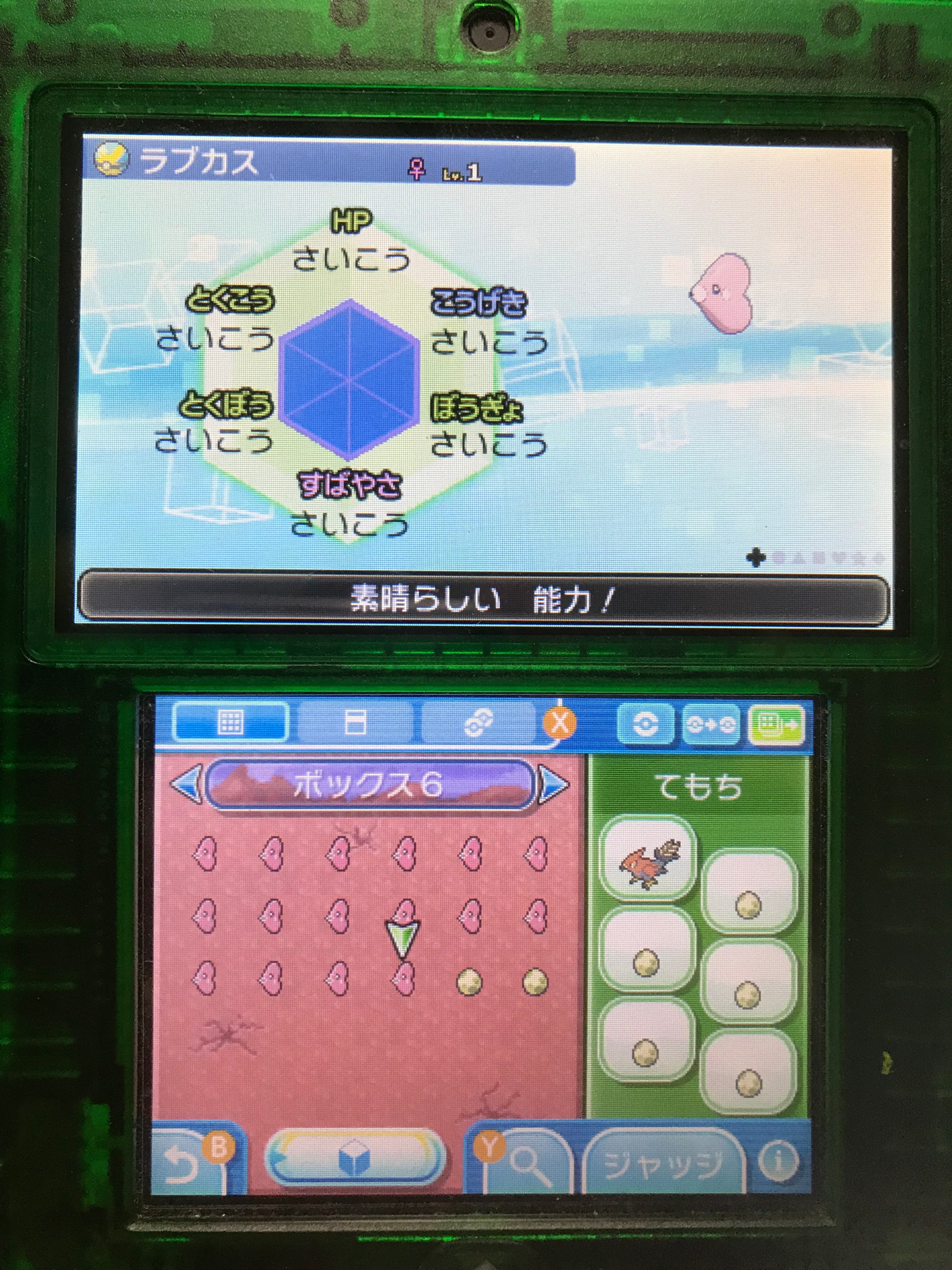 ポケモン6v記録 Twitter
