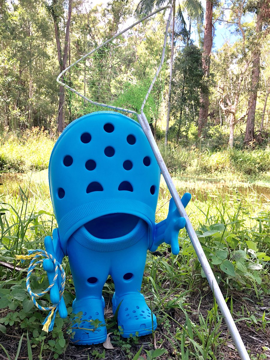 TerriIrwin's tweet photo. Crikey! One of our crocodiles has escaped @AustraliaZoo, but we’re not April Fools, Bindi has gotten our best croc man to catch it! https://t.co/9NKoxpM79d