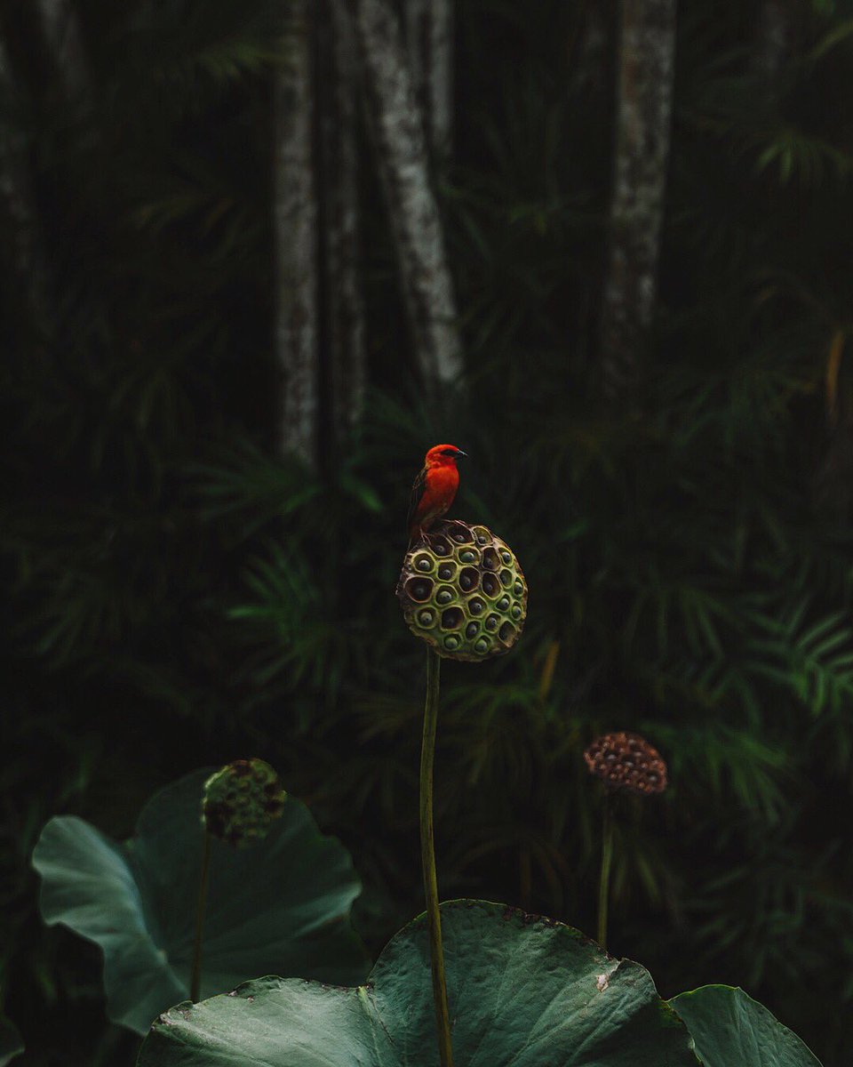 Jerome Silvere (@itsimplyjerome) on Twitter photo 