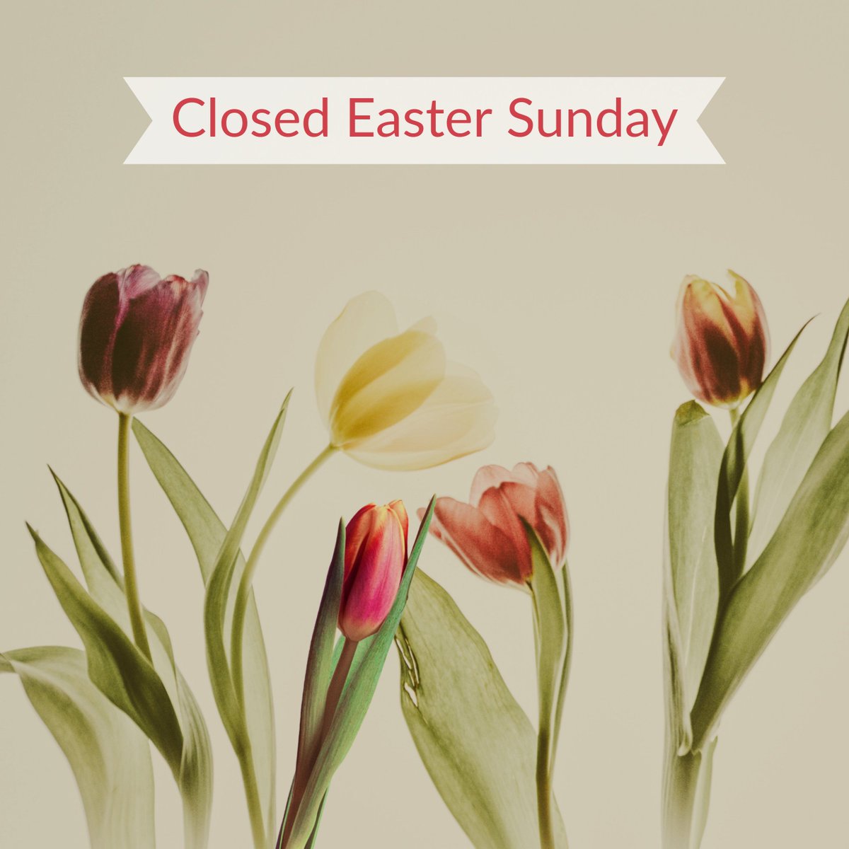 manzdecor's tweet photo. Happy Easter from the Manz Team! We hope you enjoy all of your candy from the Easter Bunny! https://t.co/x6AKXlinIR