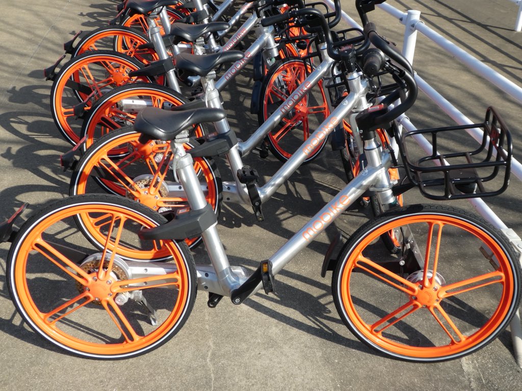 持っている ツイン 販売計画 イオン マリナタウン 自転車 Setuphedgefund Org