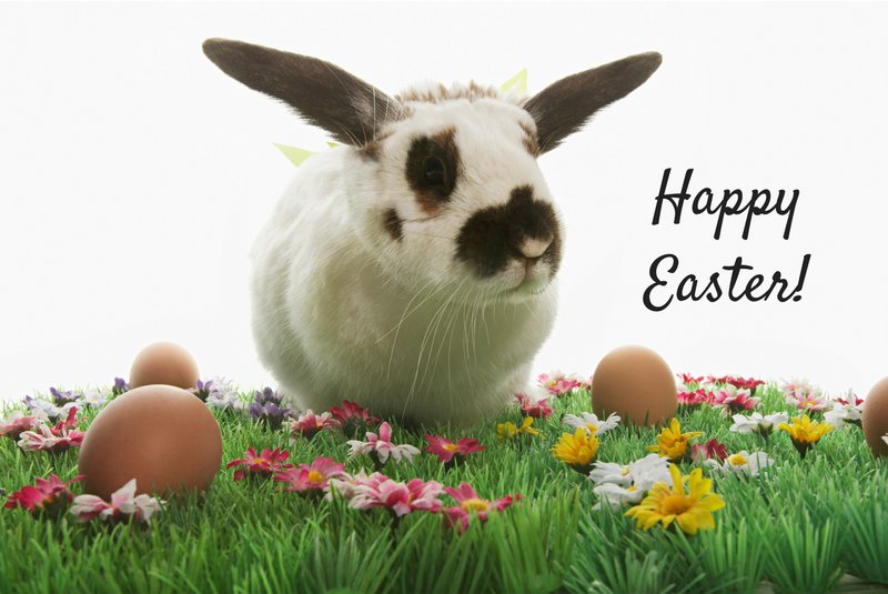 ConvenientMD's tweet photo. Happy #Easter! All of our clinics are OPEN today during our normal clinic hours of 8am-8pm! #convenientmd #urgentcare https://t.co/NcJRKmgWN3