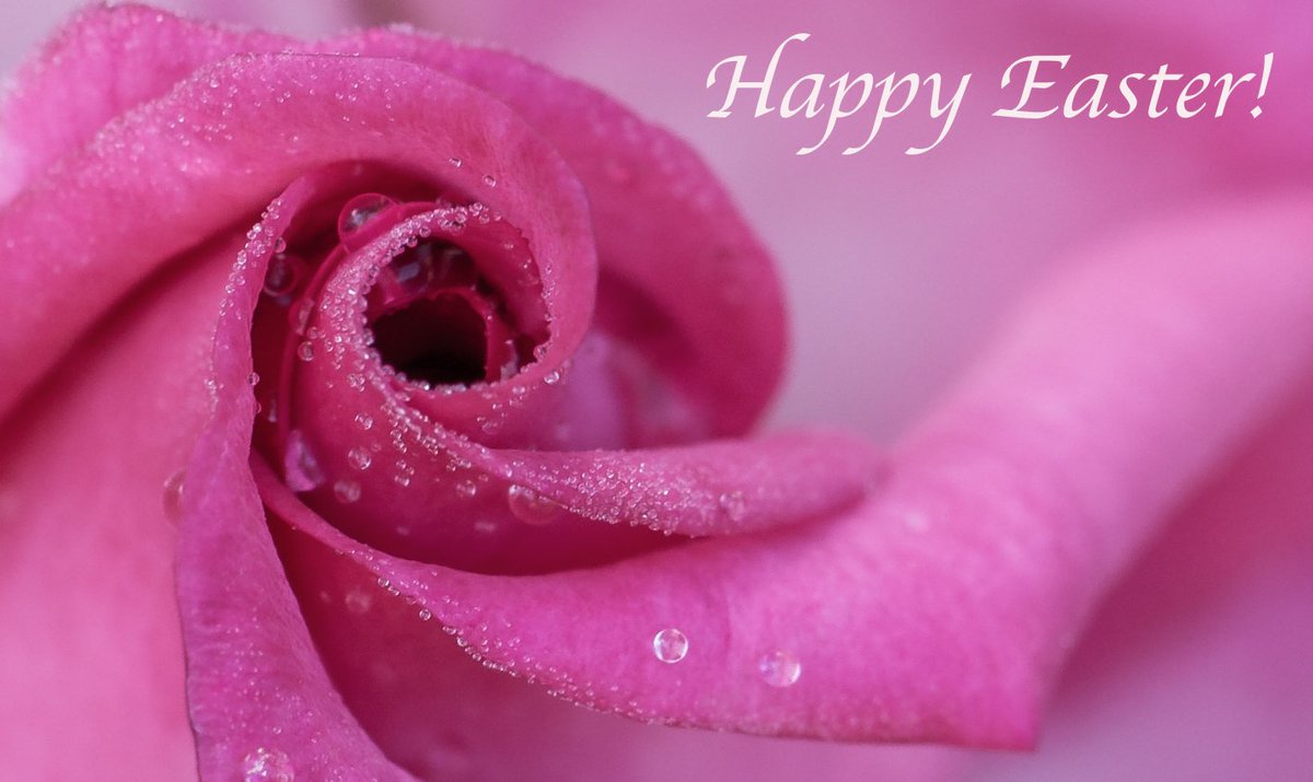 attykat's tweet photo. "For I remember it is Easter morn, And life and love and peace are all new born." Alice Freeman Palmer @StrowdRoses #HappyEaster2018 https://t.co/NE3A36suU1
