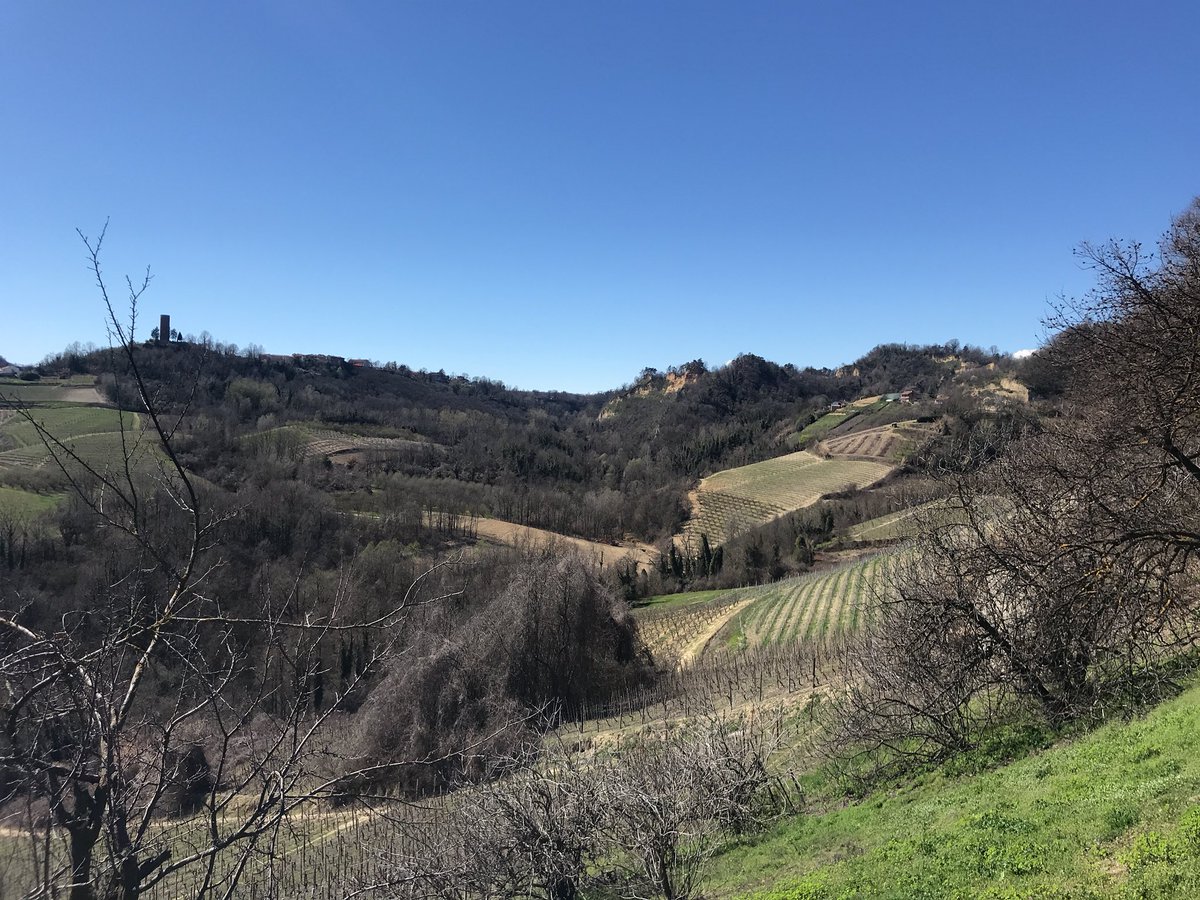 Buona Pasqua !
(Monteu Roero area)