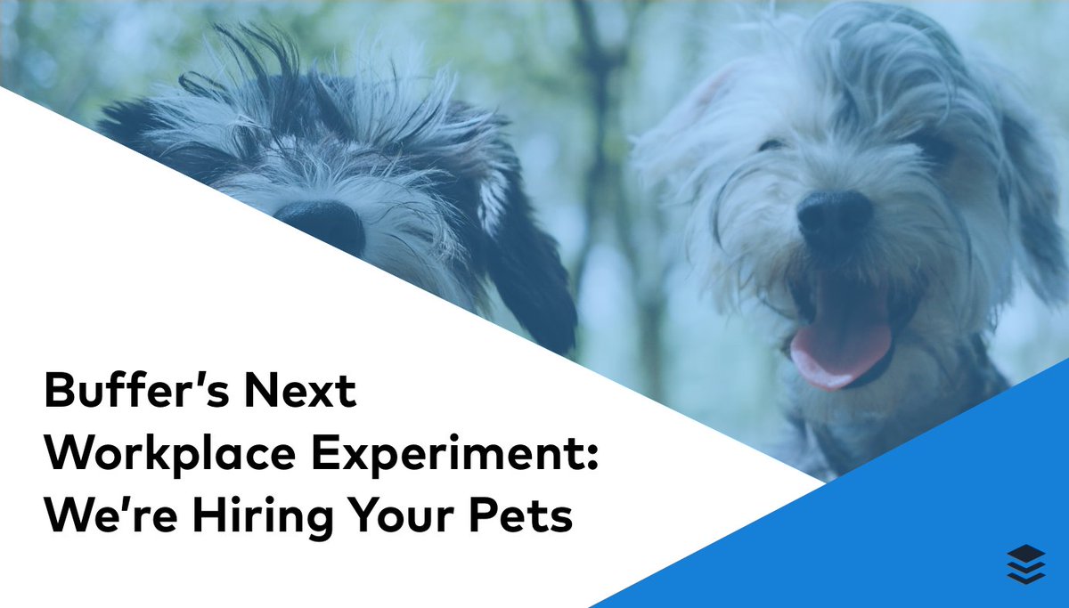 Some big news to share today! It's time for us to think outside the box. To try something new. Today, we're excited to share our newest workplace experiment with the world.

Buffer is now hiring pets! 🐶🐱🐭🐦🐷🐙 buff.ly/2GnNCnH

#BufferHiresPets
