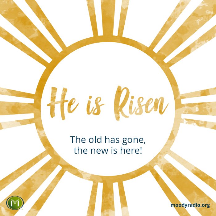 Today we let go of the past and embrace the new life given in Christ. #Easter