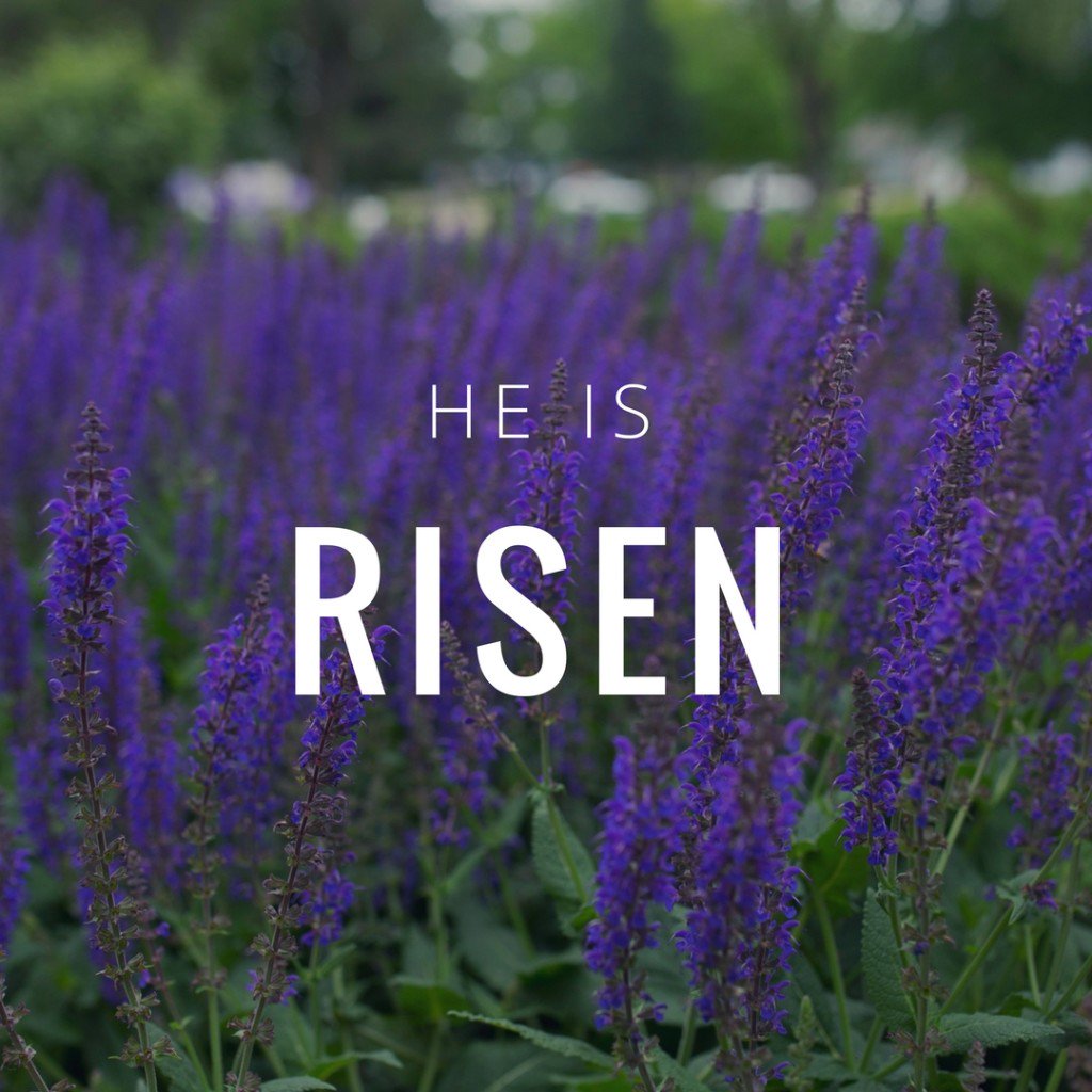 SterlingCLife's tweet photo. He has risen, indeed!

"And behold, I am with you always, to the end of the age.” Matthew 28:20 ESV

#EasterSunday #HeIsRisen #Easter https://t.co/fEmqQPIdr6
