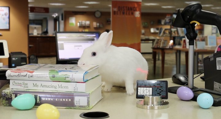 sjcplib's tweet image. Hoppy Easter! 🐇Stop by your nearest SJCPL location to get a li-bunny card from your local li-bunnian. (Just kidding. We're closed today.)
Have a happy #Easter and a happy #AprilFools! 
#EasterFools #librarybunnies