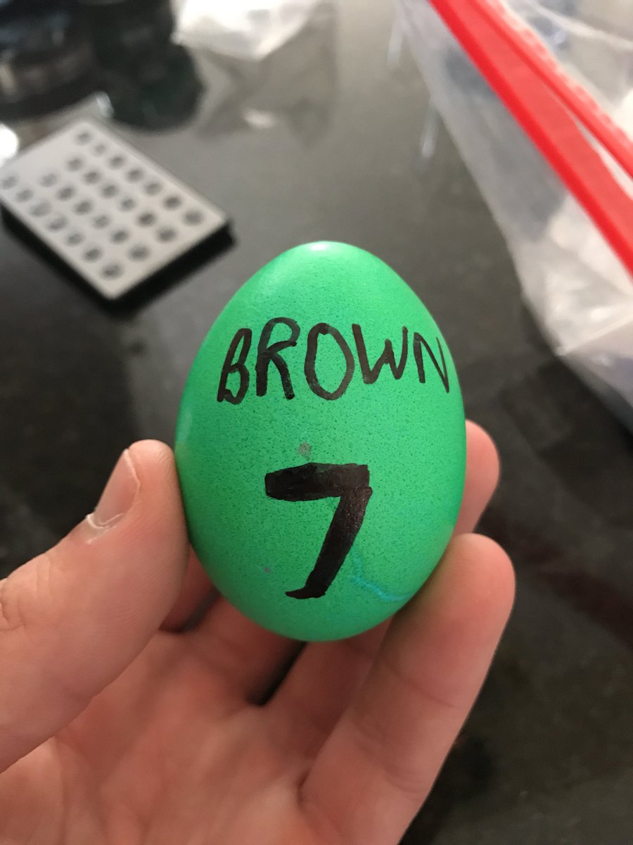 Made my first easter egg in honor of my favorite player <a href="/FCHWPO/">Jaylen Brown</a>