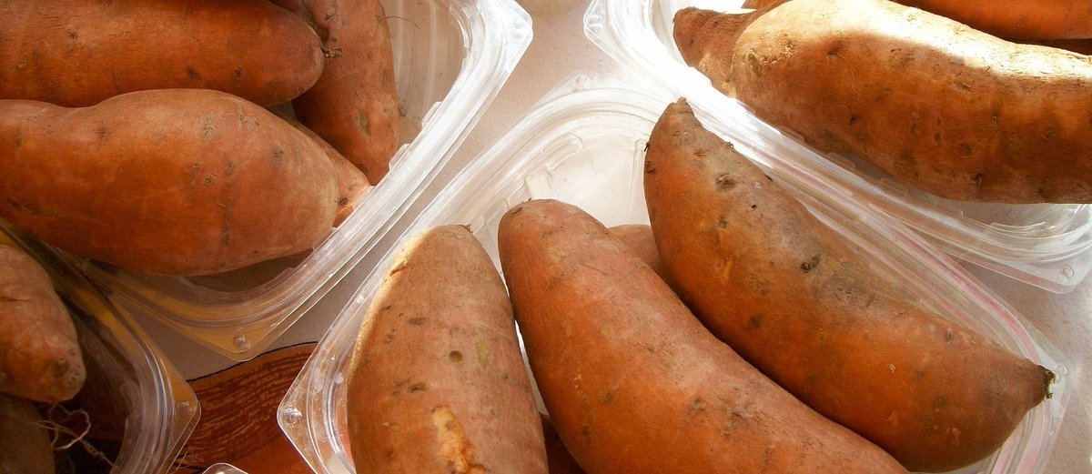Sweet potatoes are not just one of the healthiest and cheapest sources of nutrition; the predominant protein is a type of protease inhibitor that may have cancer-fighting properties. bit.ly/2tRvCLh #PlantBased
