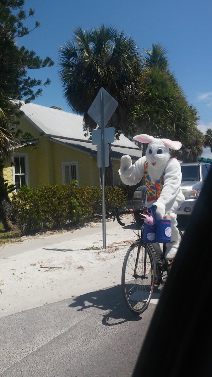 ms_amj1980's tweet photo. This just happened. I can die happy now. #happyeaster #easterbunny https://t.co/y8EI3eGadb