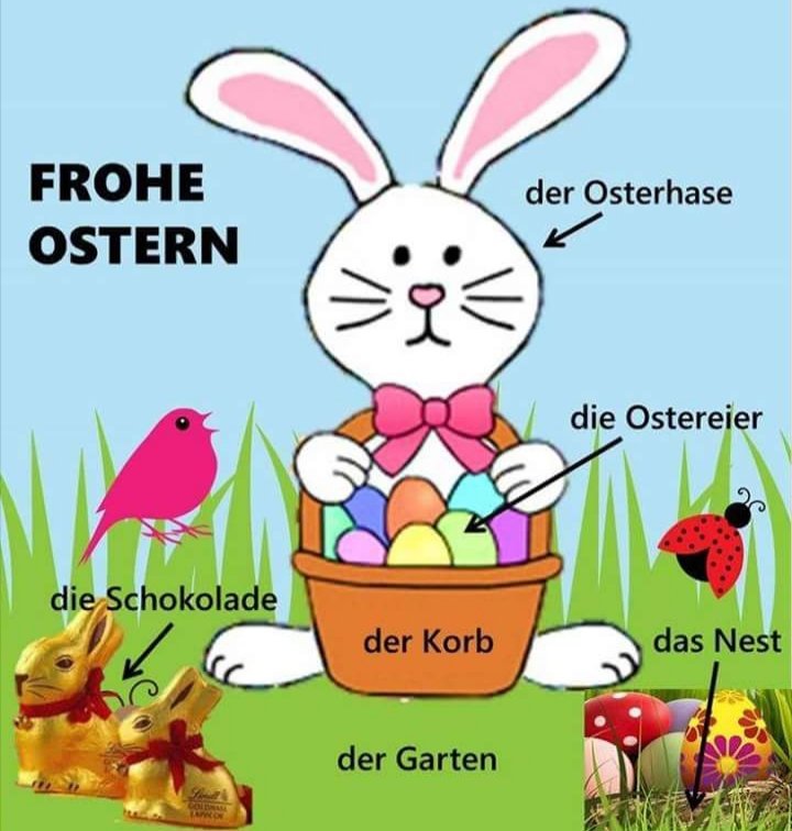 German_MCB's tweet photo. 🐣🐇🌻🌼 https://t.co/lP7hv8jNhx