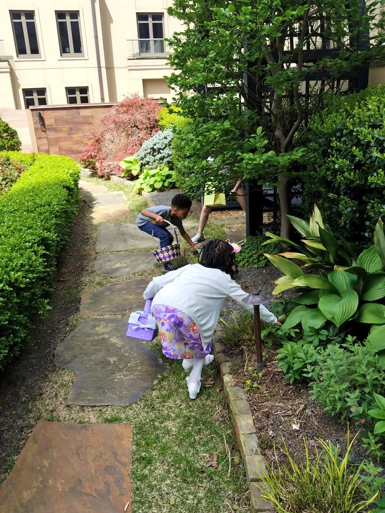 333LovelyLeslie's tweet photo. The #EasterEggHunt is under way at @MO_ATLANTA 's #EasterBrunch ! All the little ones are having so much #familyfun with Floppy the Bunny in the English Garden! #MOEaster #FansofMO #sundayfunday https://t.co/JoQAnw9gha
