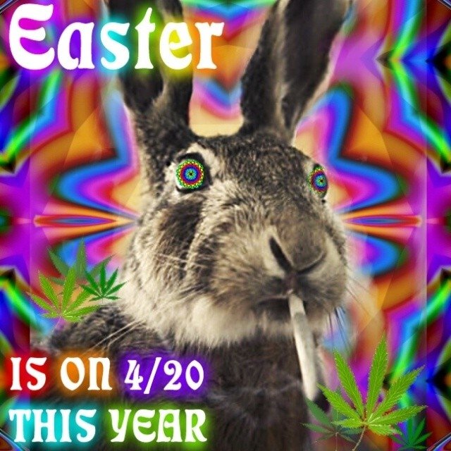 ArmyOfPotheads's tweet photo. #AprilFools...
Ehhh...ok ok ok...we know...#NotBunny...uhh #Funny...
#AprilFool'n
#HappyEaster
#HappyPassover
#HappyBirthday
#Stonerfam
#Peace! https://t.co/4hKyG6IEVw