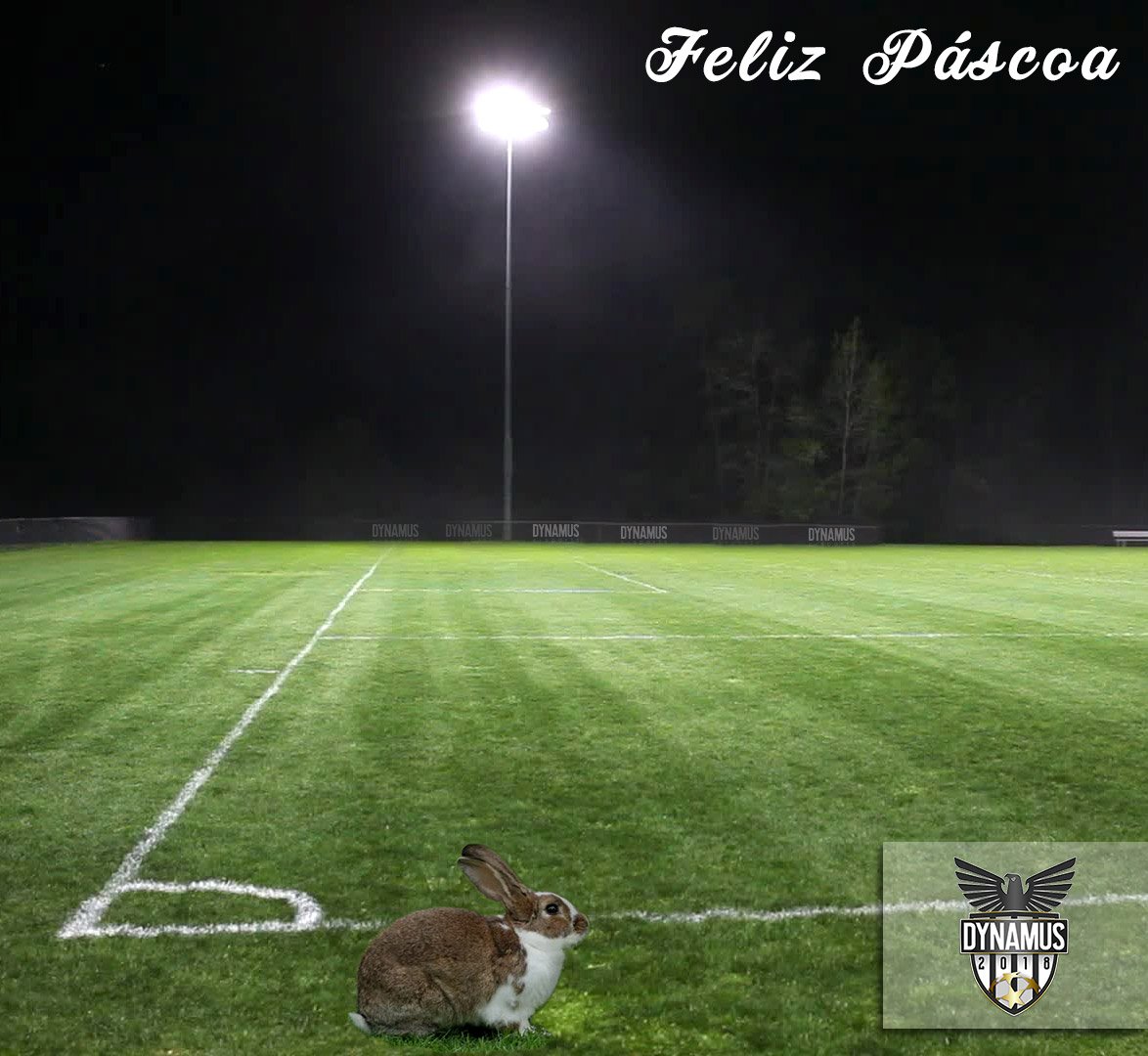 dynamusesports's tweet photo. Feliz Páscoa aos nossos amigos cristãos! O Dynamus respeita todos os credos e raças. Acolhemos todos os povos pela paixão ao futebol e todos os esportes!! #HappyEaster2018 #soccer #football #easterbanny #soccerfield #fifa18 #ProClubs https://t.co/VIlCrX5AUz