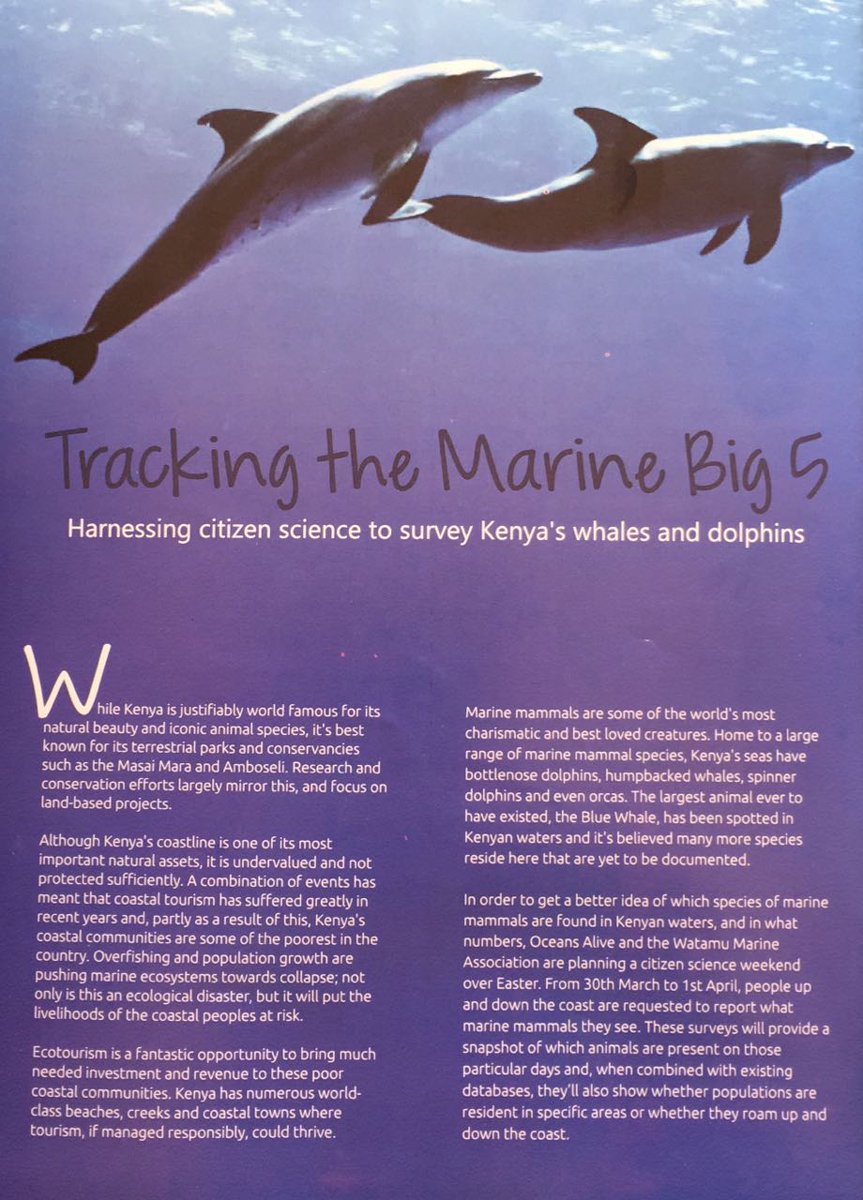 Part 1 of article featuring our working in <a href="/MagicalKenya/">Kenya Tourism Board</a> #Marinebig5 <a href="/WWF_Kenya/">WWF-Kenya</a>