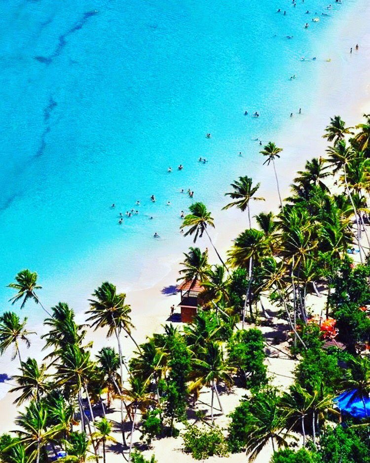 Caraibconnexion's tweet photo. Happy Easter from #Martinique :) https://t.co/nbB3fJfAM5
