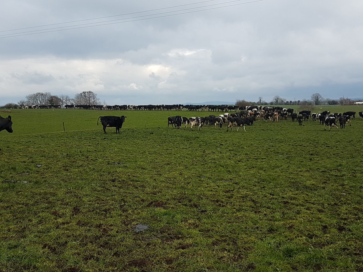 The impact of a terrible spring and how to deal with it

m.facebook.com/story.php?stor…