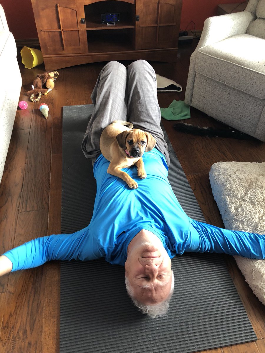 Pugglesadie's tweet photo. Yoga with dad. https://t.co/2HYqDzqrdI