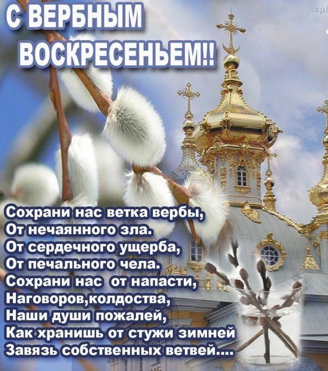 Прикольная, праздник вербное воскресенье картинки поздравления