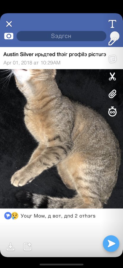 View image on Twitter