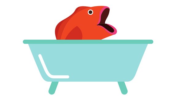 Recifoto's tweet image. Fish In the Bathtub wikirecipedia.com/fish-in-the-ba…