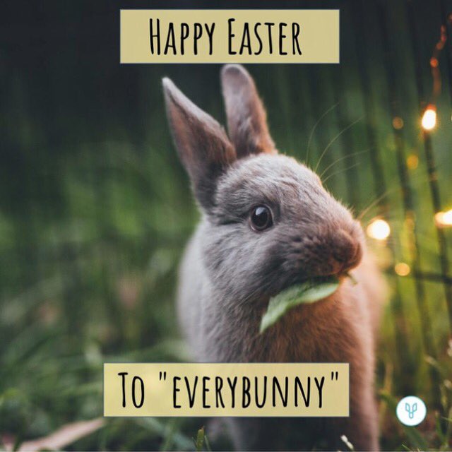 Kappa Delta Pi Pitt tweet media