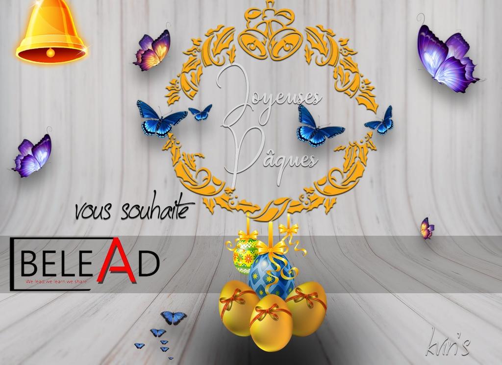 Belead_Officiel's tweet photo. https://t.co/Q3e9hT52t3