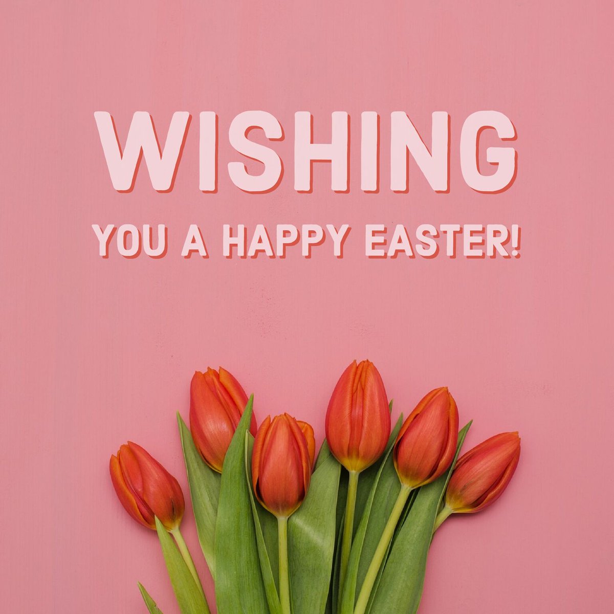 EGIProductions's tweet image. Peep peep… Americans buy more than 700 million marshmallow Peeps during Easter - Are you team #peeps or team #chocolate? #HappyEaster