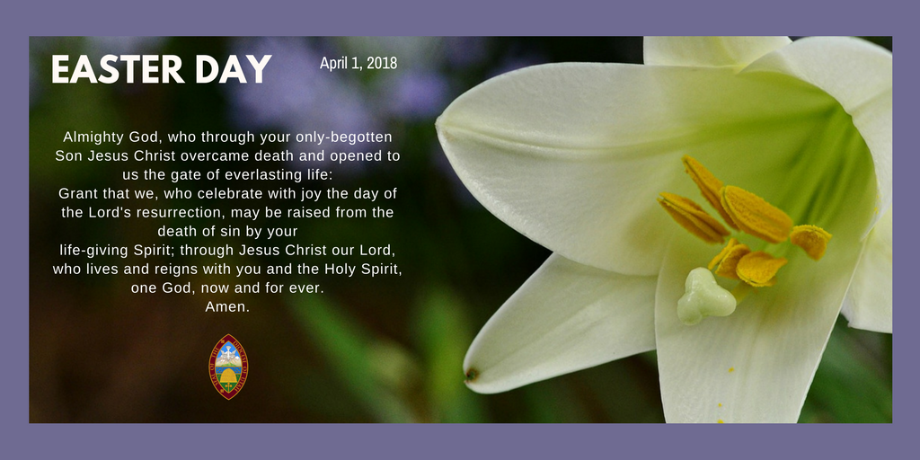 Today we celebrate the glorious resurrection of our Lord, Jesus Christ. 
#Easter2018 #episcopal #episcopalutah #heisrisen