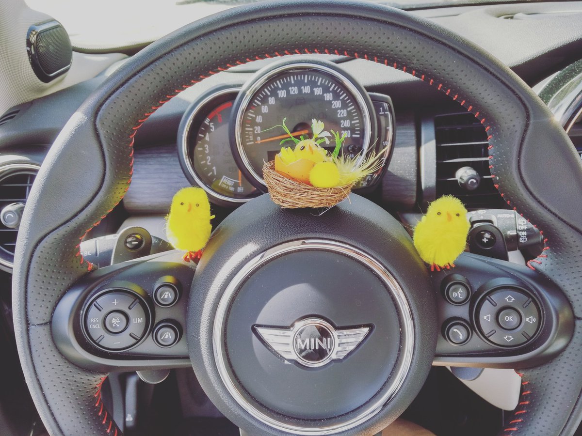 lifestylemotor3's tweet image. Nuestro #MINI ha tenido pollitos en #pascua!!! @miniespana @bmwgroupprensa #orgullodeMINI
