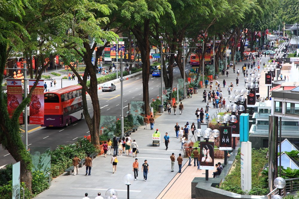 JeremyDBarrell's tweet photo. Singapore has long understood trees are appreciating built-environment assets, i.e. they increase in value, compared to assets such as roads and structures that depreciate. This does not seem to be well-understood by Sheffield City Council politicians #SaveSheffTrees #TreeTruths https://t.co/0Nk9hZeLFm