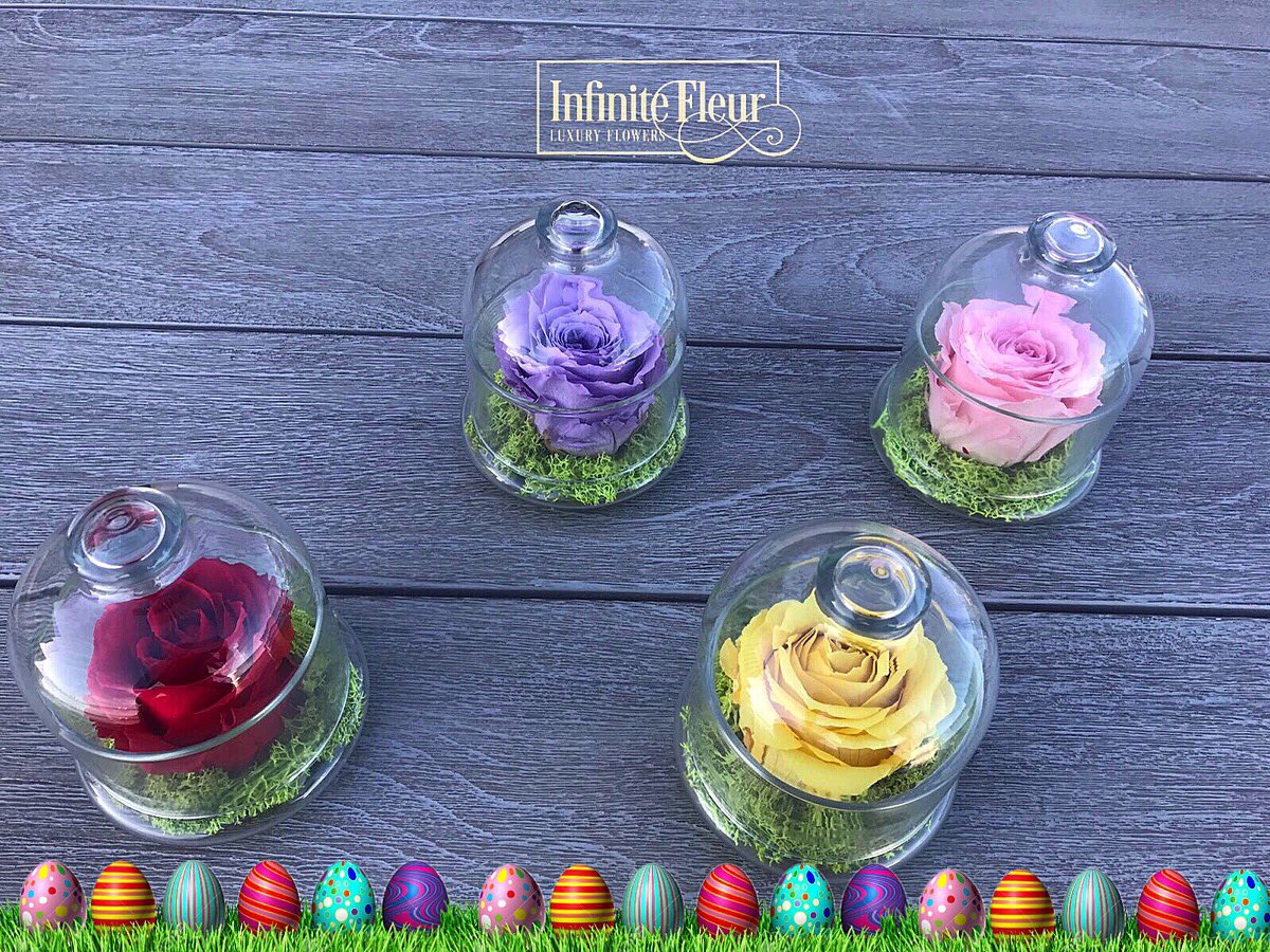 InfiniteFleur's tweet photo. Hippity hoppity... Happy Easter! 🐇 🐰🐣🥚💙💚💛🧡❤️💜#InfiniteFleur
#RealRosesThatLastAYear #Colors #HippityHoppity #Spring #Colorful #RosesThatLastAYear #HappyEaster #HippityHoppity #SpringTime https://t.co/0YfKllq3xs