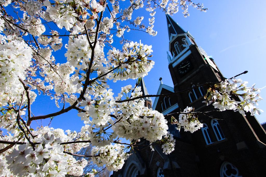 Happy and blessed Easter Sunday from all of us here at the Abbey, seriously!