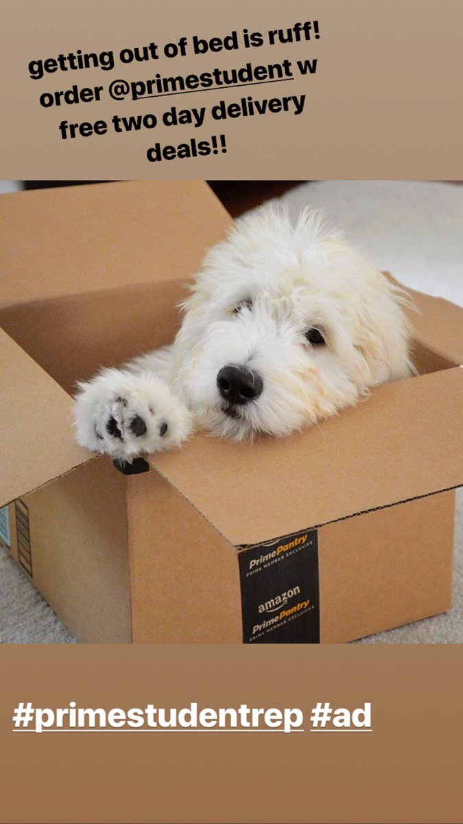 AmazonAtOKState's tweet photo. Sunday’s are ruff!! Stay in bed and use @primestudent instead #PrimeStudentRep #ad https://t.co/mXU2WHmGA8