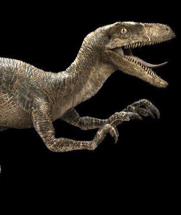 It’s #velociraptor nesting season Raptors aggressively defend nest sites &amp; eggs. Respect wildlife &amp; avoid velociraptor nests, for your safety &amp; theirs #jeffcotrails